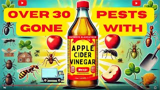 Over 30 Pests Gone with One Ingredient Apple Cider Vinegar Hacks [upl. by Cl86]