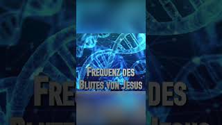 Frequenz des Blutes von Jesus Nimm mich mit auf eine Reise was willst du mir zeigen [upl. by Aleel]