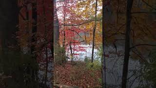 Beautiful autumn day at Breaks Interstate Park lakeview autumn [upl. by Lleddaw]