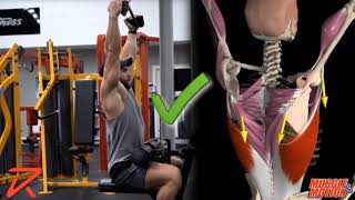 How to Do a Lat Pulldown  Common Mistake [upl. by Aya409]