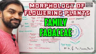 Fabaceae  Morphology of flowering plants  Families [upl. by Ddat]