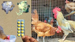 Antidiarrheal for Poultry Birds  Diarrhoea Treatment for Chickens in Winter Season  Dr ARSHAD [upl. by Ednyl]