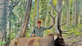 “Muzzleloader Elk Success on Opening Morning in Southwestern Colorado 2024” [upl. by Atiner]