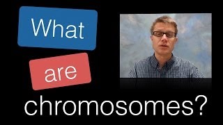 What are Chromosomes [upl. by Tobin]