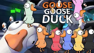 Its a HONKing Helium PARTY Goose Goose Duck [upl. by Divine]