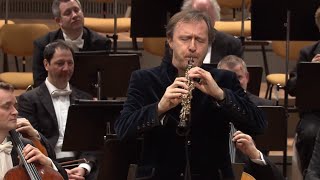 Albrecht Mayer – JS Bach Arioso from Cantata 156 Sinfonia [upl. by Humbert619]