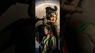 Maru Man Mohi Gayu  Gujarati Song Status  Full Screen WhatsApp Status  Radha Krishna Status [upl. by Nainatrad]