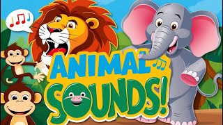 Amazing Animal Sounds 🐯  Fun Learning Animal Noises for Kids [upl. by Yarased347]