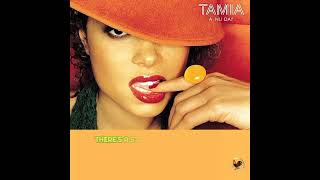 Stranger In My House  Tamia wlyrics [upl. by Irah]