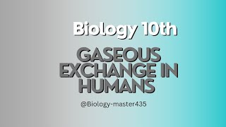 Gaseous exchange in humans Biology Class 10th STBB [upl. by Norvall70]