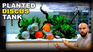 Building The NEW NANO FISH Aquascape Low Tech [upl. by Dygal]