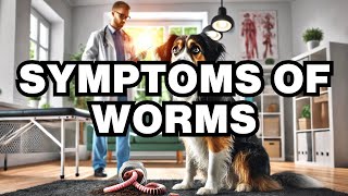 What Are The Symptoms Of Worms In Dogs Explained [upl. by Packston881]