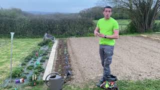 Semis en pleine terre  les légumes racines carottes radis panais [upl. by Quar34]