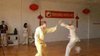 Xing Yi Quan An Shen Pao 形意拳 安身炮 [upl. by Eeroc909]