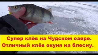 Супер рыбалка на Чудском озере зимойОтличный клёв окуня на блеснуSuper bite perch on Peipsi lake [upl. by Anitnamaid305]