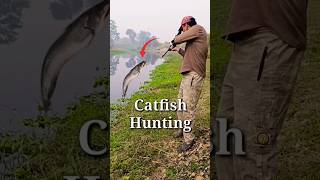 Fish Hunting using Airgun  Wallago Attu Catfish Pathan Fish hunting with Airgun fishing airgun [upl. by Meece427]