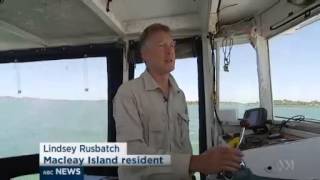 After devastating floods in Moreton Bay dugongs are returning as sea grass crops improve [upl. by Hortense]