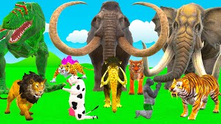 10 Mammoth Elephant Cow Vs 5 Giant Tiger Lion Vs Dinosaur Attack Tiger Cub Saved Woolly Mammoth [upl. by Anawaj714]