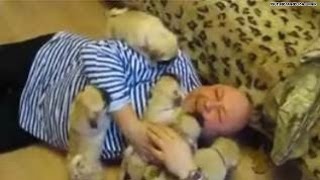 The cutest video Pug pups ATTACK man with love [upl. by Thea]