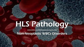 Lecture 5  Nonneoplastic WBCs Disorders [upl. by Lodie]