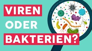 Viren und Bakterien Die wichtigsten Unterschiede [upl. by Leirda]