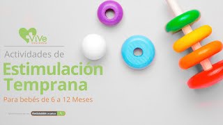 Estimulación Temprana de 6 a 12 meses [upl. by Jaquelin]