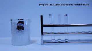 BCH2333 Lab3 Experiment 3 The kinetics of acid phosphatase [upl. by Lecram]