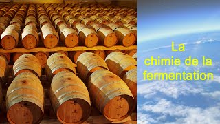 la chimie de la fermentation [upl. by Yoong]