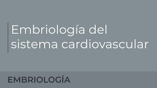 Embriología del sistema cardiovascular Lydia de la Fuente [upl. by Elleda]