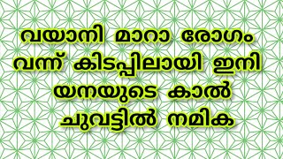 ദേവയാനി മാറാ രോഗം വന്ന് കിടപ്പിലായി ഇനി നയനയുടെ കാൽ ചുവട്ടിൽ അനാമികpatharamattu serial [upl. by Weight329]