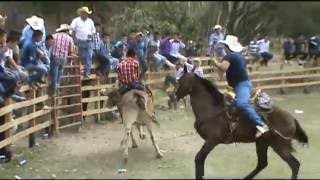 JARIPEO CHALINGO 2016 [upl. by Hentrich]