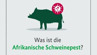 Erklärfilm  Afrikanische Schweinepest [upl. by Irianat780]