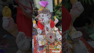 Beautiful Visarjan  May Ganesha bless you with all that you dee ❤️❤️ anshasayed shorts Ganesha [upl. by Barnabe]