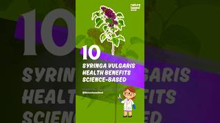 Syringa vulgaris Lilac Health Benefits ScienceBased [upl. by Assetnoc411]