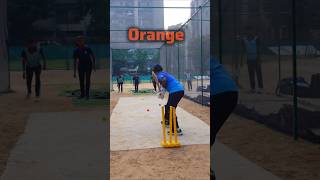 FUN🥰 Batting Drills  cricket practice Batting Drills cricket crickettechnique cricketlovers [upl. by Etnahc]