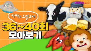 원숭이와 치즈에 숨겨진 비밀이 있다ㅣ호기심ㅣ아하 그렇구나 3640회 모아보기ㅣKBS 방송 [upl. by Hammel679]