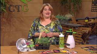 Start Tomatoes from Seed  Molly Pikarsky  Central Texas Gardener [upl. by Euqinehs920]