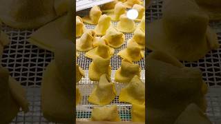 Tortellini 🇮🇹tortellini italia italianfood italiancuisine travel trip italiancooking [upl. by Topliffe]