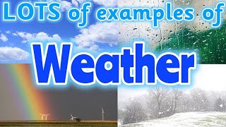 TYPES OF WEATHER for kids ☀️🌧️🌈 Can you name different types of weather Miss Ellis weather [upl. by Eednak]