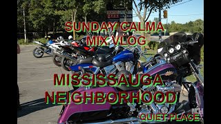 MISSISSAUGA NEIGHBORHOOD [upl. by Alicea]