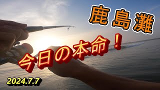 【鹿島灘サーフ】昨日バラし多発のサーフにリベンジ釣行🎣 [upl. by Lyrehc]