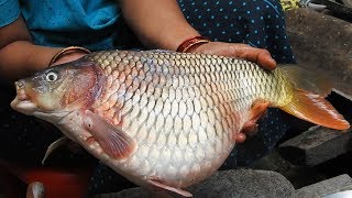 Fish Eggs Gravy Recipe Corp Fish Eggs Masala Stew Fish Egg Spicy Fry Recipes  Machli Wala [upl. by Suilmann478]