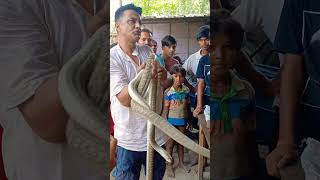 short ytshorts snakevideo shortfeed youtubeshort trendingnow vairal [upl. by Airottiv]