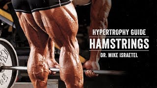 Hypertrophy Guide  Hamstrings  JTSstrengthcom [upl. by Lezley]