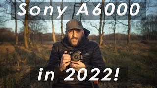 The Sony A6000 in 2022  Is it Worth it [upl. by Zacherie]