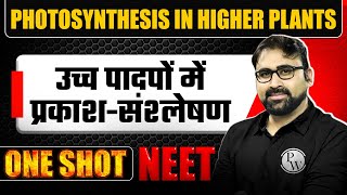 PHOTOSYNTHESIS IN HIGHER PLANTS in 1 Shot  उच्च पादपों में प्रकाशसंश्लेषण  Concept amp PYQ  NEET [upl. by Esiole]