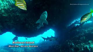 Western Australia Caves Sharks Shipwrecks Rottnest Abrolhos Kimberley Ningaloo Coral Bay [upl. by Tnarb]