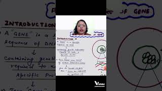 Fine structure of Gene Introductionshorts [upl. by Akimehs]