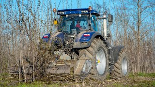 Steyr Terrus 6270 CVT quotBlue Powerquot  Fresa Forestale FAE [upl. by Ordnasil780]