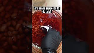 Help me Are red beans supposed to do this question cooking beans beansrecipe [upl. by Nilek889]